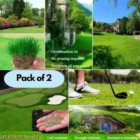 Four Seasons Evergreen Grass Seeds for Beautiful Grass – BUY 1 GET 1 FREE